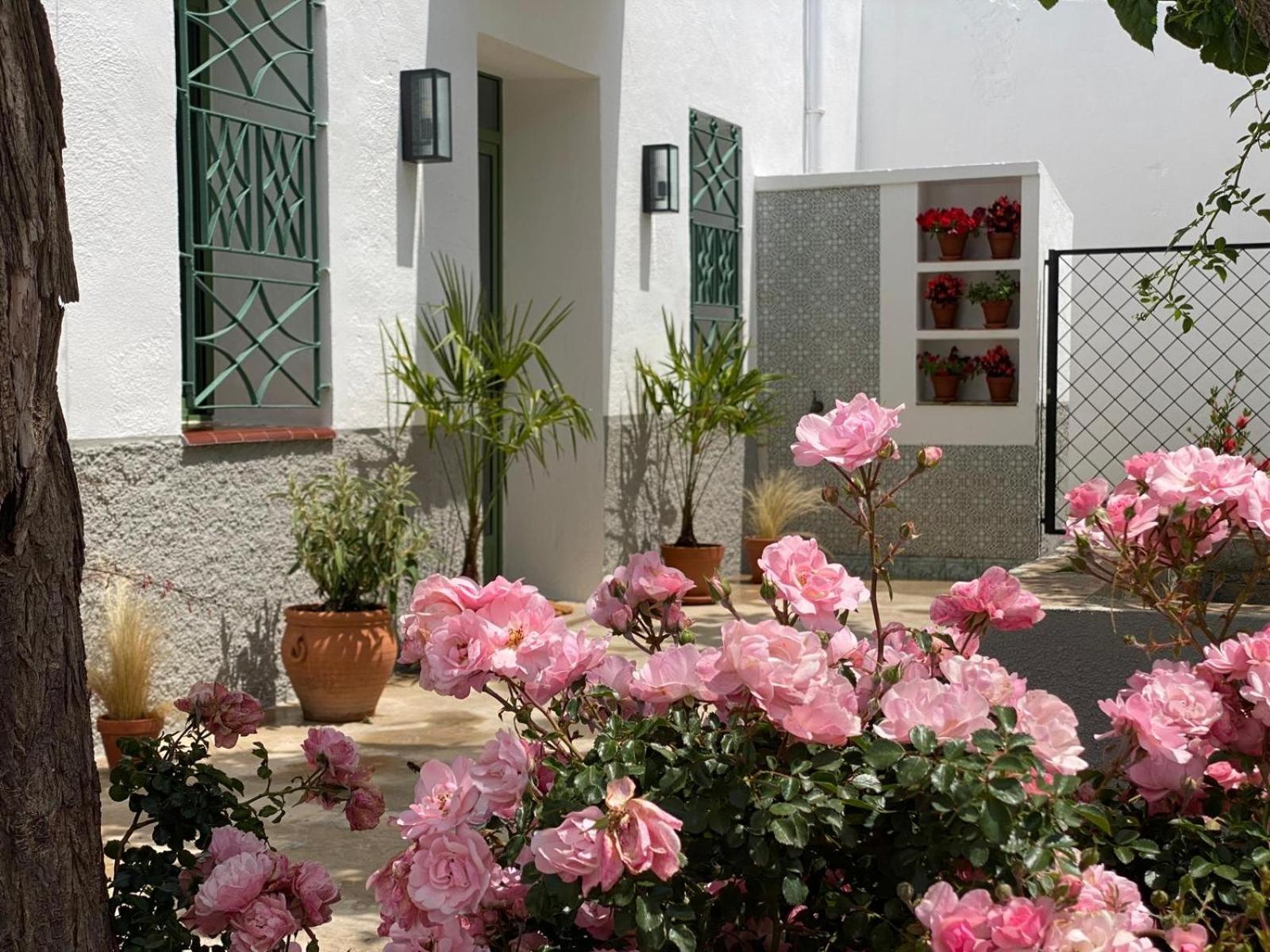 Les Filles Deltebre Exterior foto